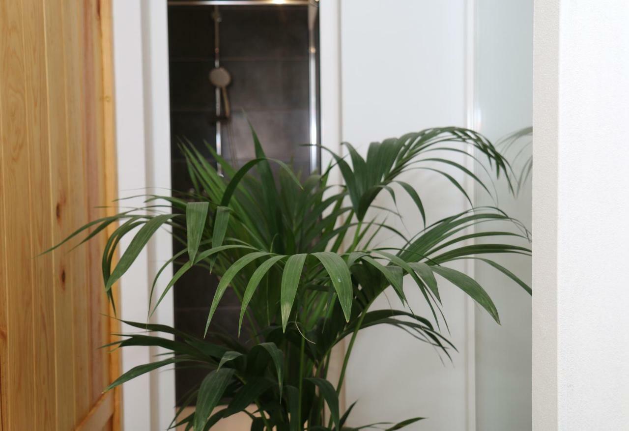 Apartamento Valeria Puerto del Carmen  Exteriör bild